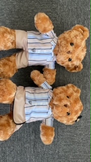 Kowloon junior School Teddy Bear